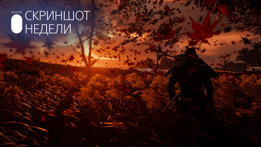 Скриншот Недели – итоги темы «Осень»